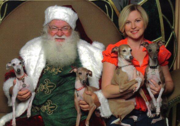 Paws on Palm Beach photo 1