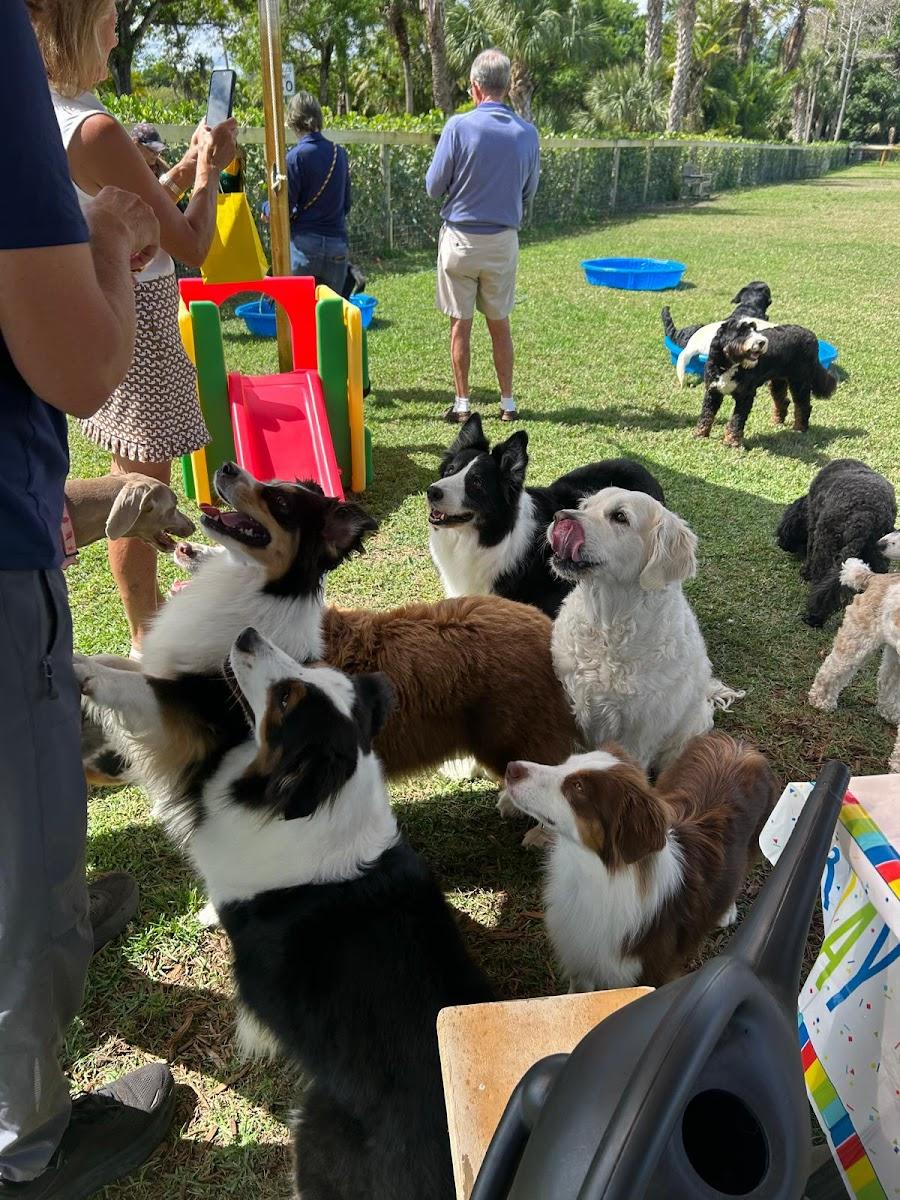Hobe Sound Country Club Kennels photo 1