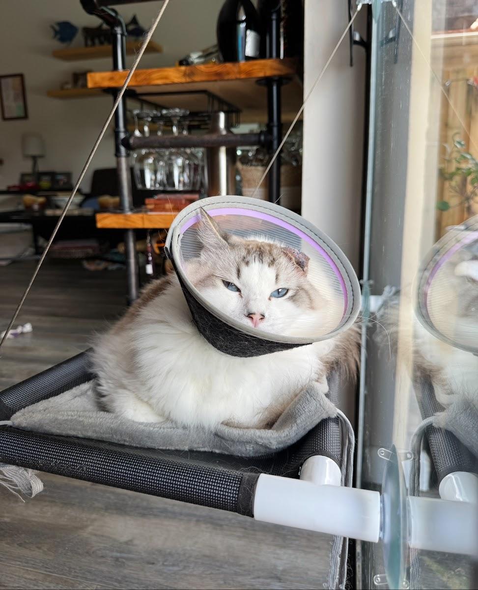 PetSmart Veterinary Services - Fort Lauderdale