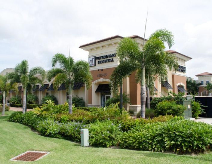 Veterinary Specialty Hospital of Palm Beach Gardens photo 1