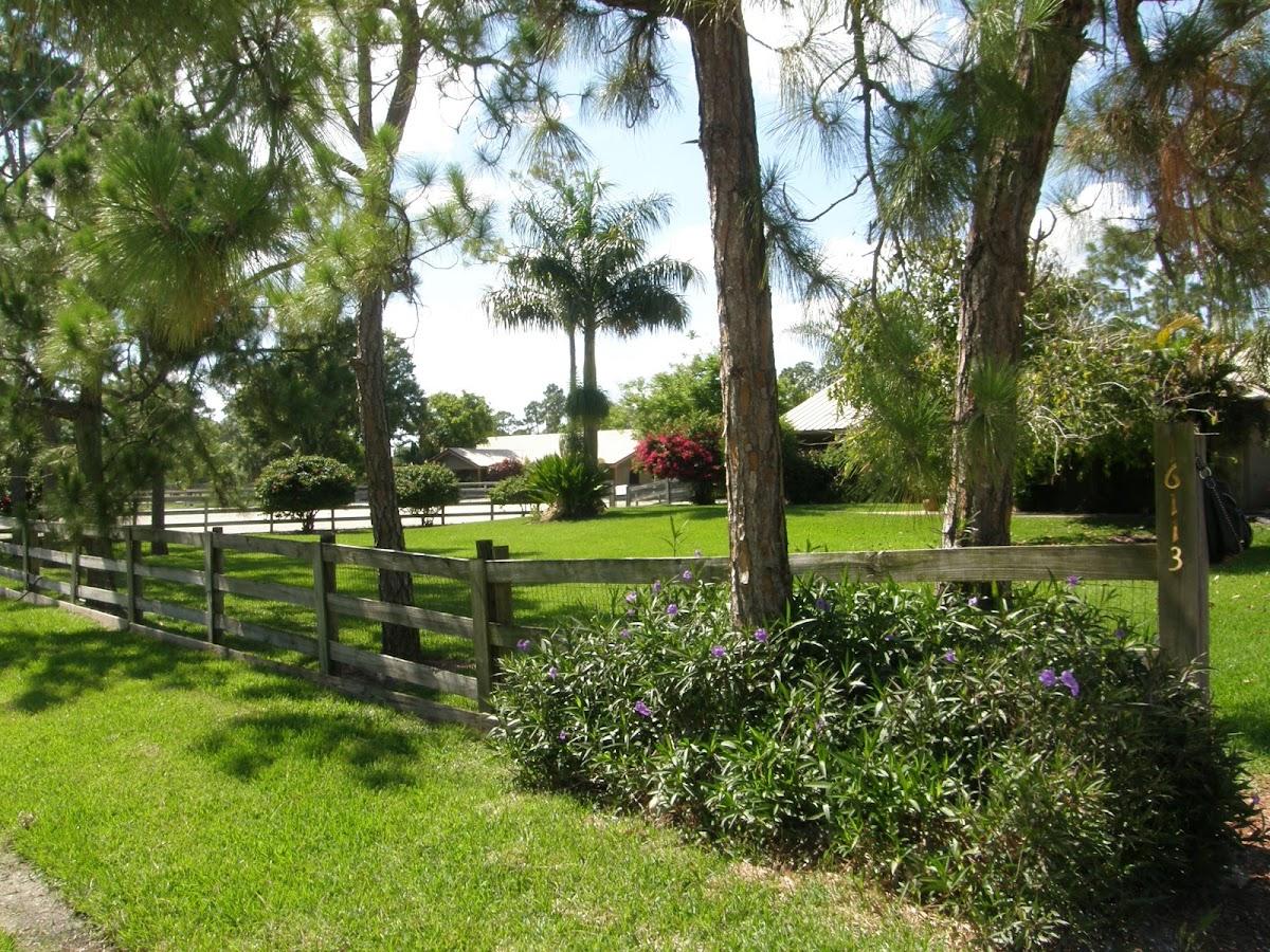 Pawsitively Love West Palm Beach photo 1