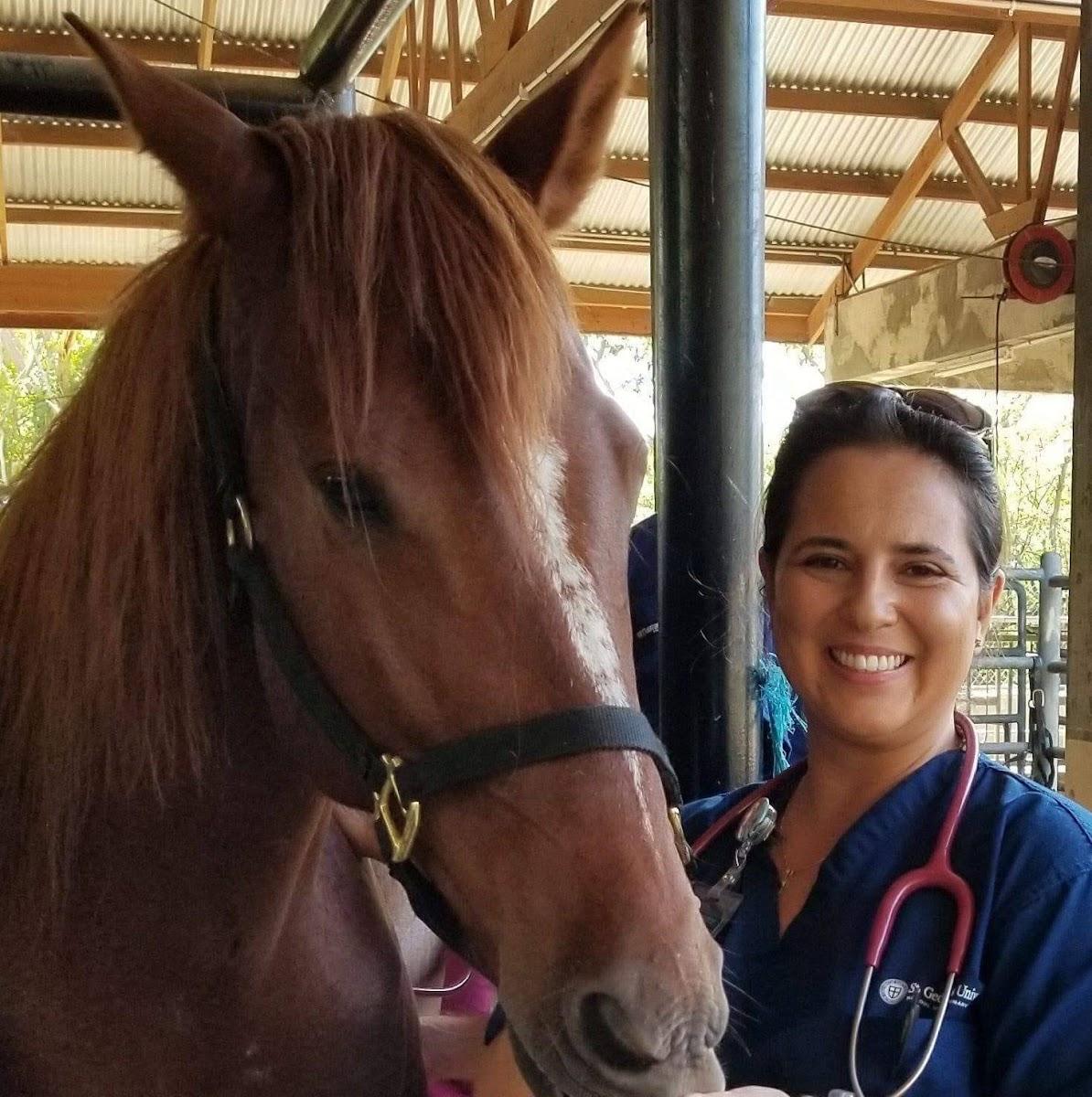 Gentle Farewells - Mobile Vet In-Home Euthanasia Service