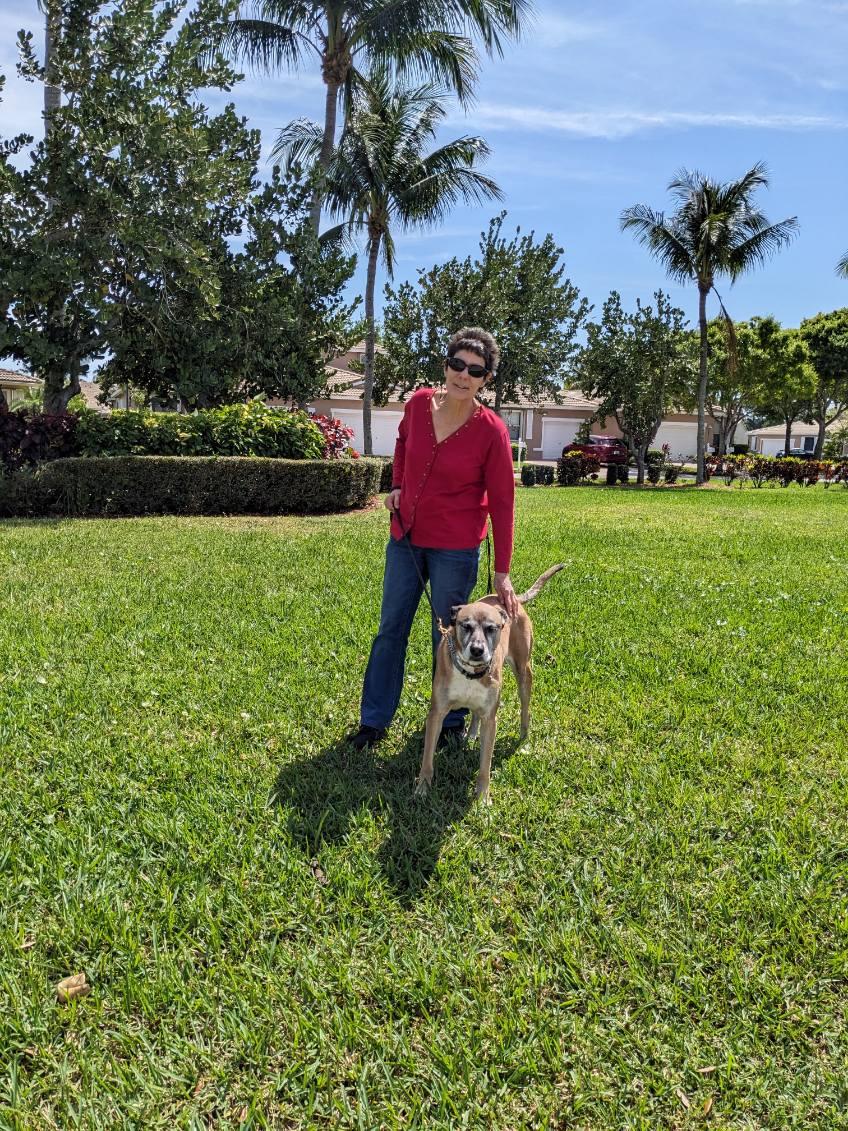 All About Dogs! Pet Sitting Services