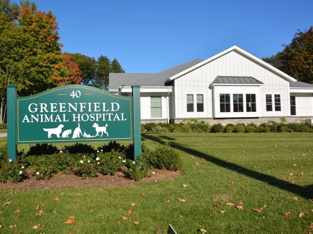 Greenfield Animal Hospital
