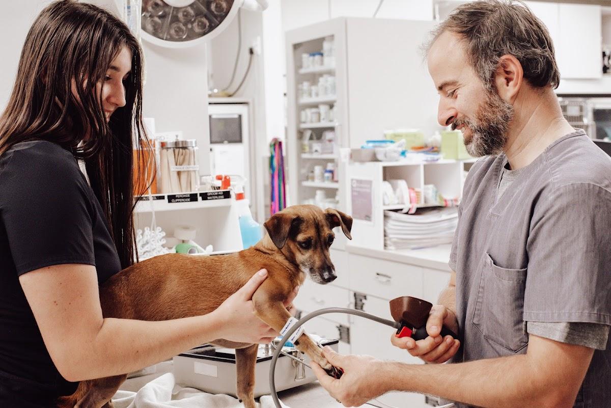 Pet Emergency and Referral Center photo 1