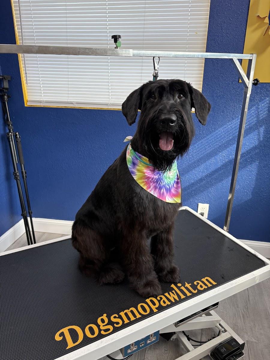 Dogsmopawlitan