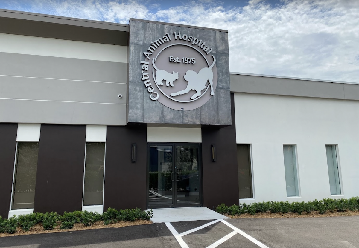 Central Animal Hospital Boca Raton
