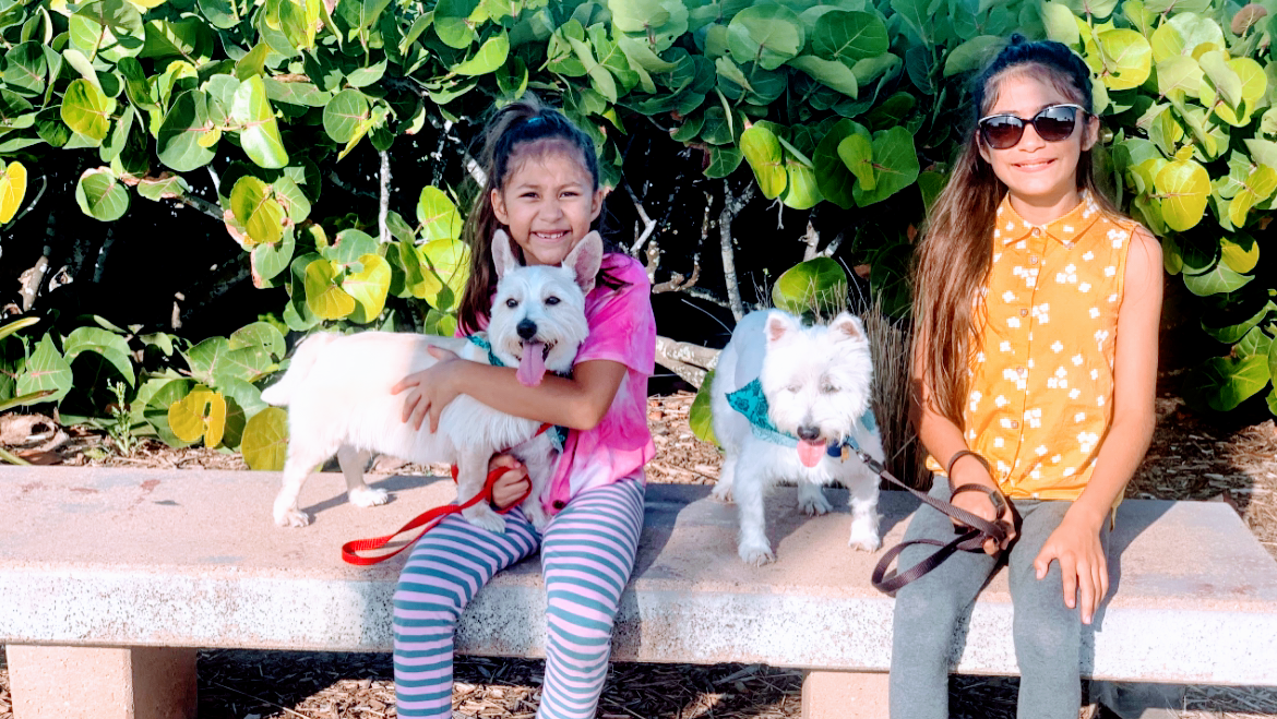 Trendy Paws Pet Spa photo 1
