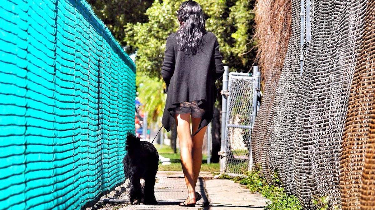 Love Miami Dogs