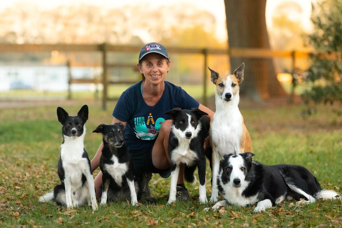 DogStar, LLC