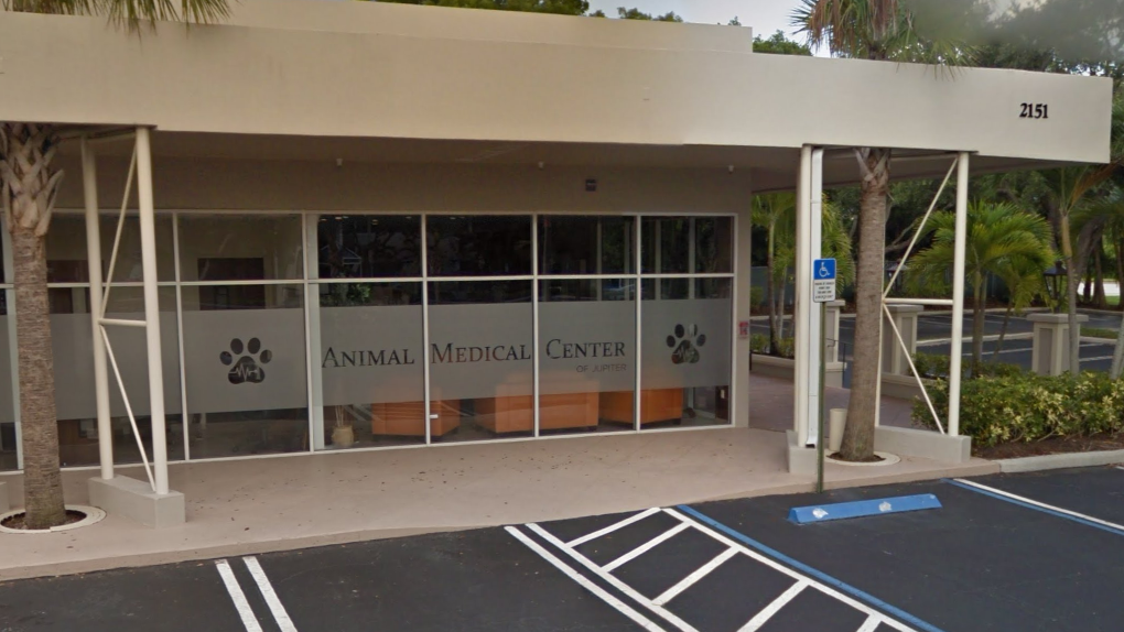 Animal Medical Center of Jupiter photo 1