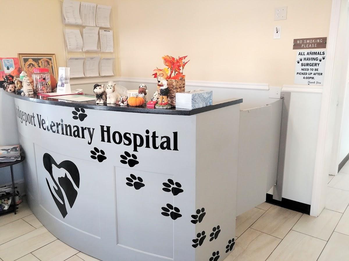 Bridgeport Veterinary Hospital photo 1