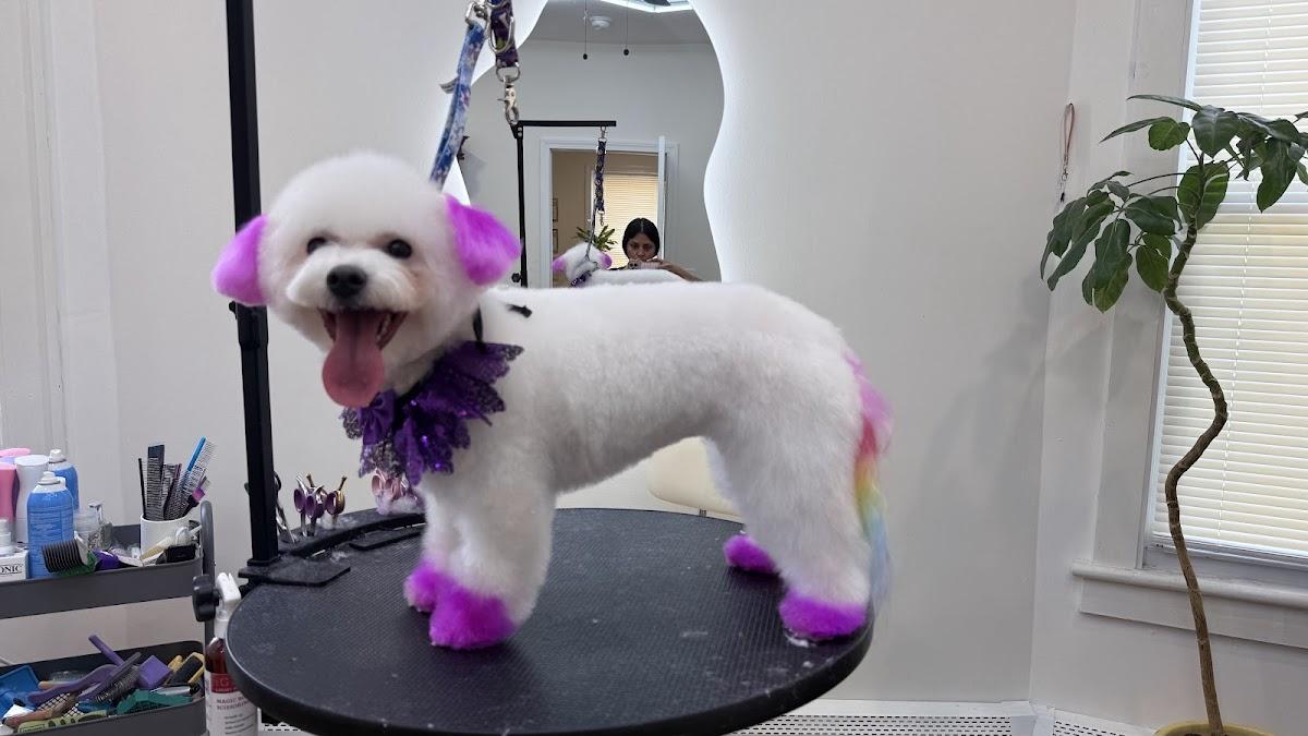 Blanca Lamar Grooming Studio