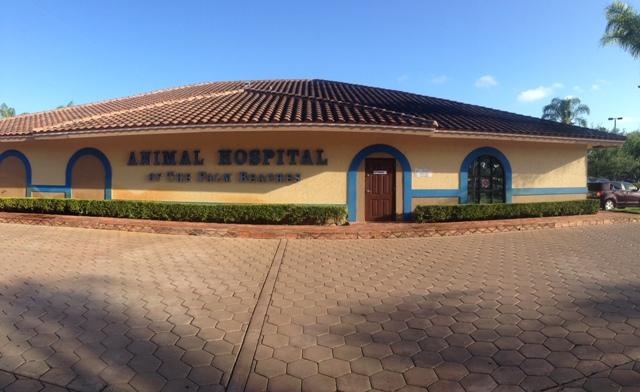 Animal Hospital of the Palm Beaches photo 1