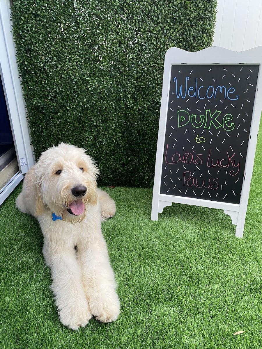 Lara's Lucky Paws LLC