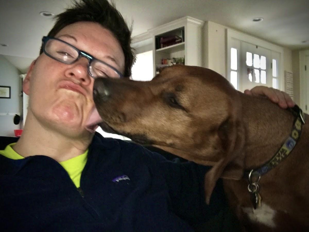 I Sit. I Stay. Dog Walking and Pet Sitting photo 1