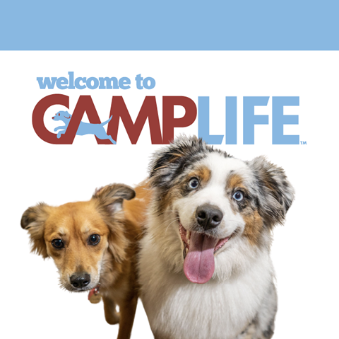 Camp Bow Wow Fairfield-Trumbull photo 1