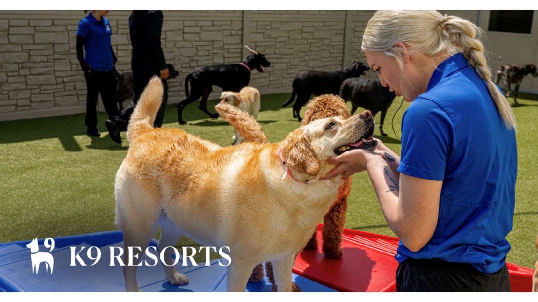 K9 Resorts Luxury Pet Hotel Wellington photo 1