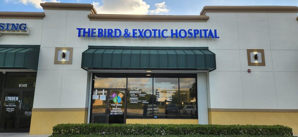 The Bird & Exotic Hospital photo 1
