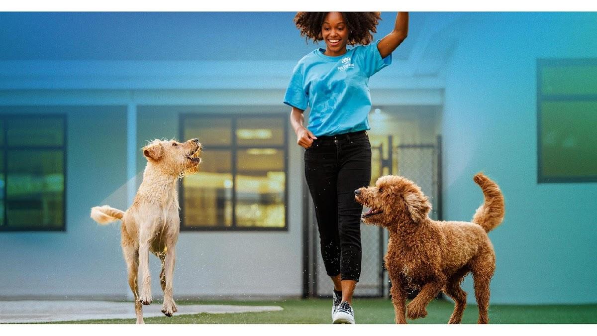 Pet Paradise Palm Beach photo 1