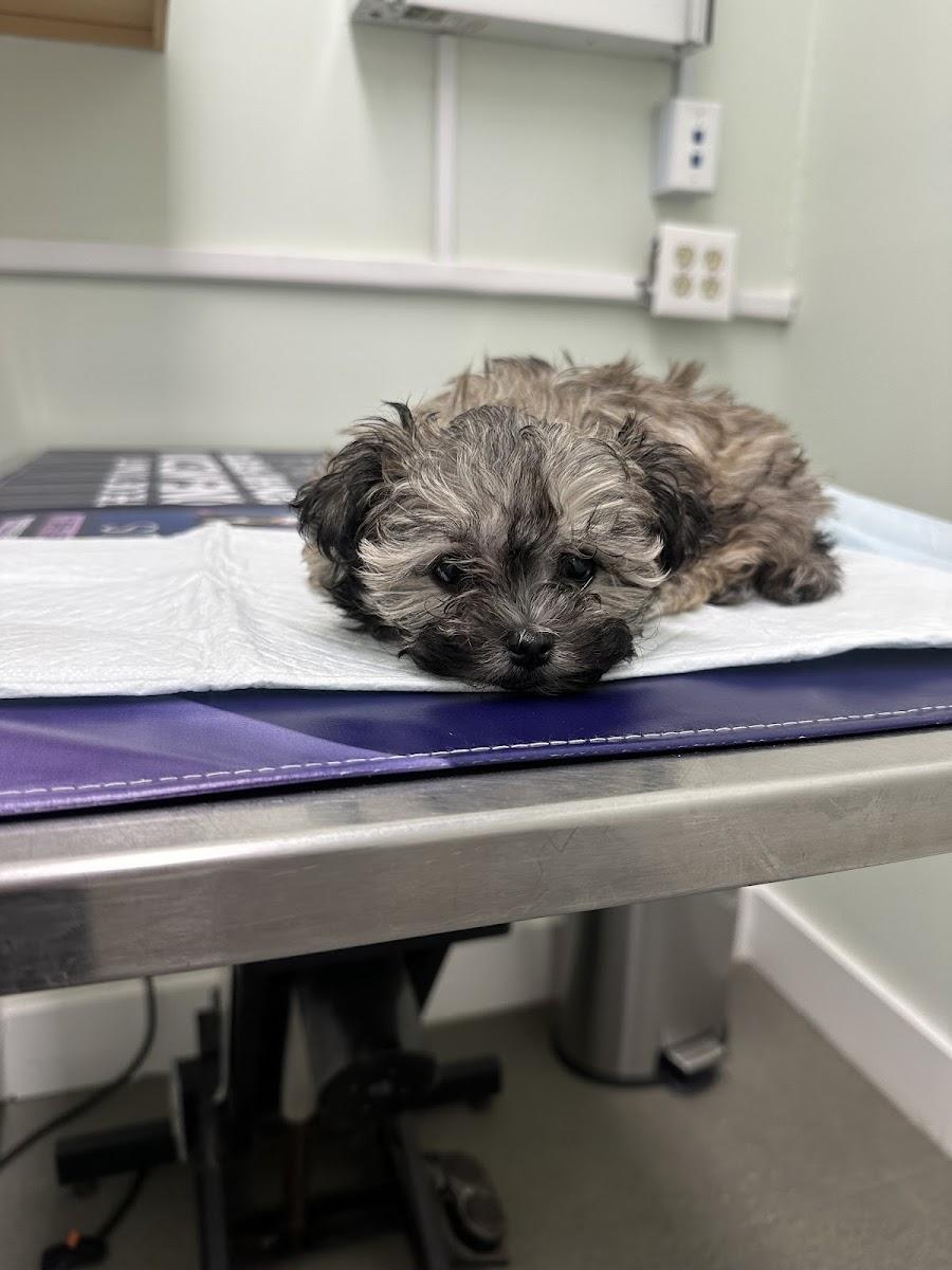 Garden Park Animal Clinic photo 1