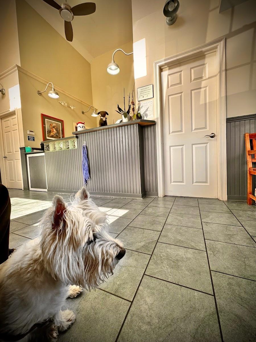 Fairfield Veterinary Hospital photo 1